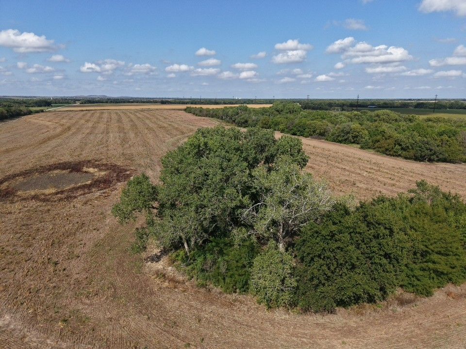 Landgren Auction Tract 1 Tract Photos image 7