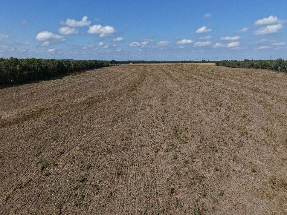 Landgren Auction Tract 1 Tract Photos image 9