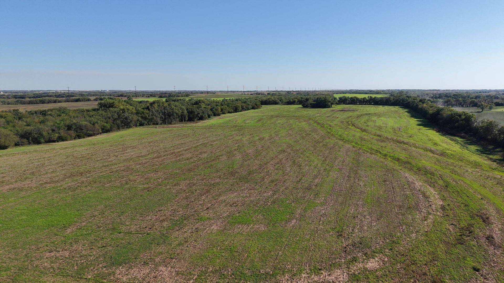 Landgren Auction Tract 1 Tract Photos image 2