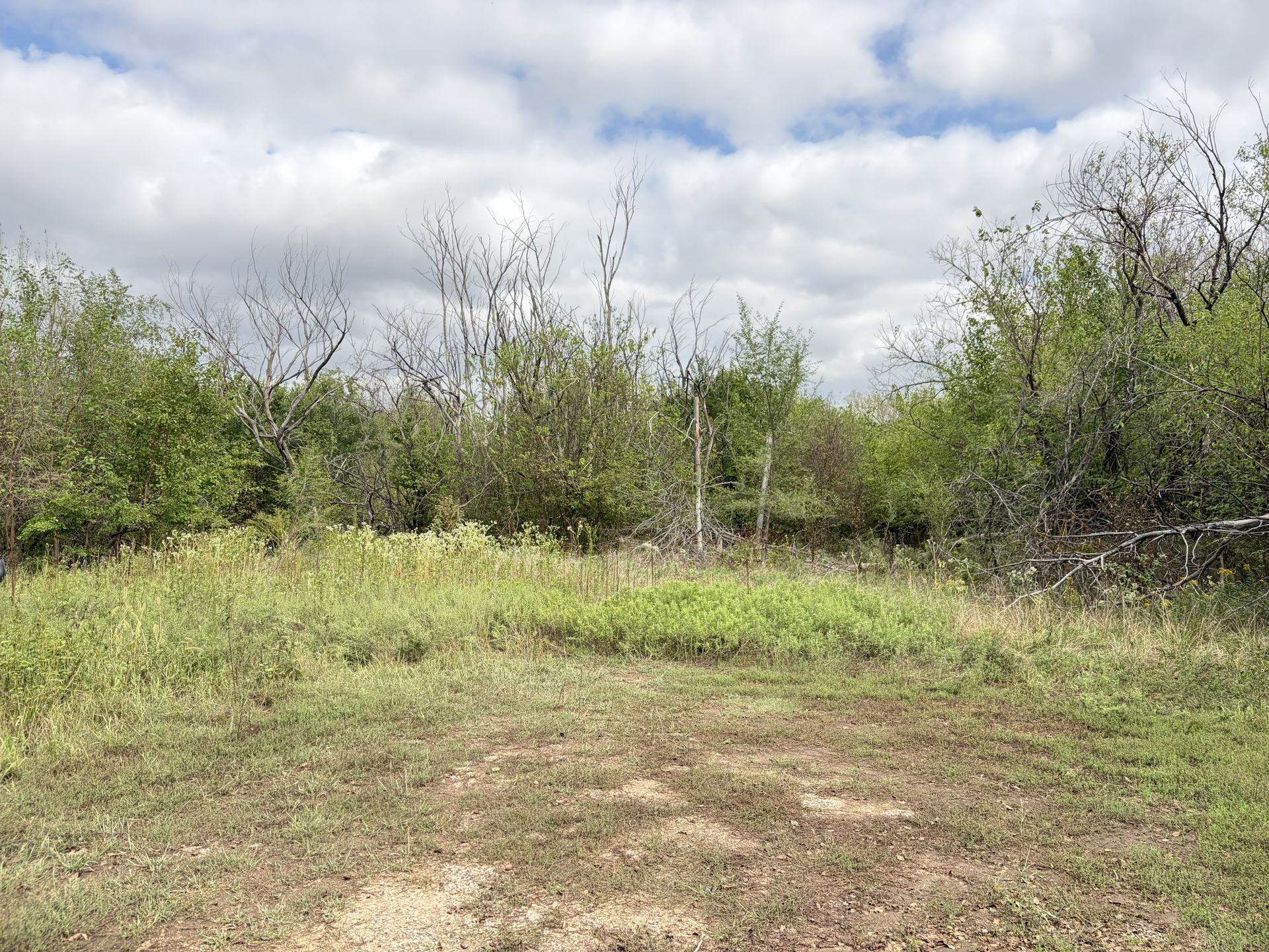 Landgren Auction Tract 2 Tract Photos image 8