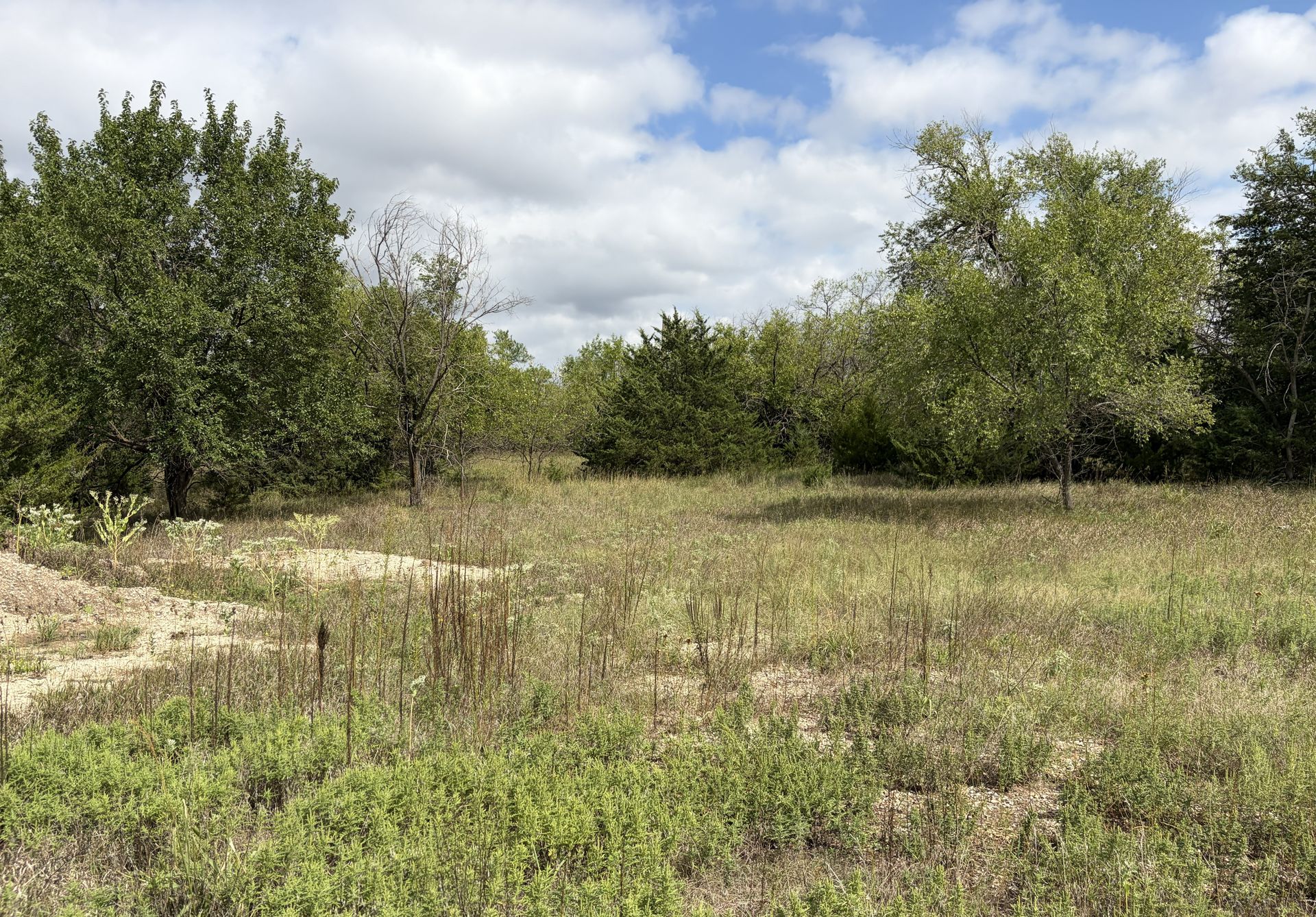 Landgren Auction Tract 2 Tract Photos image 9