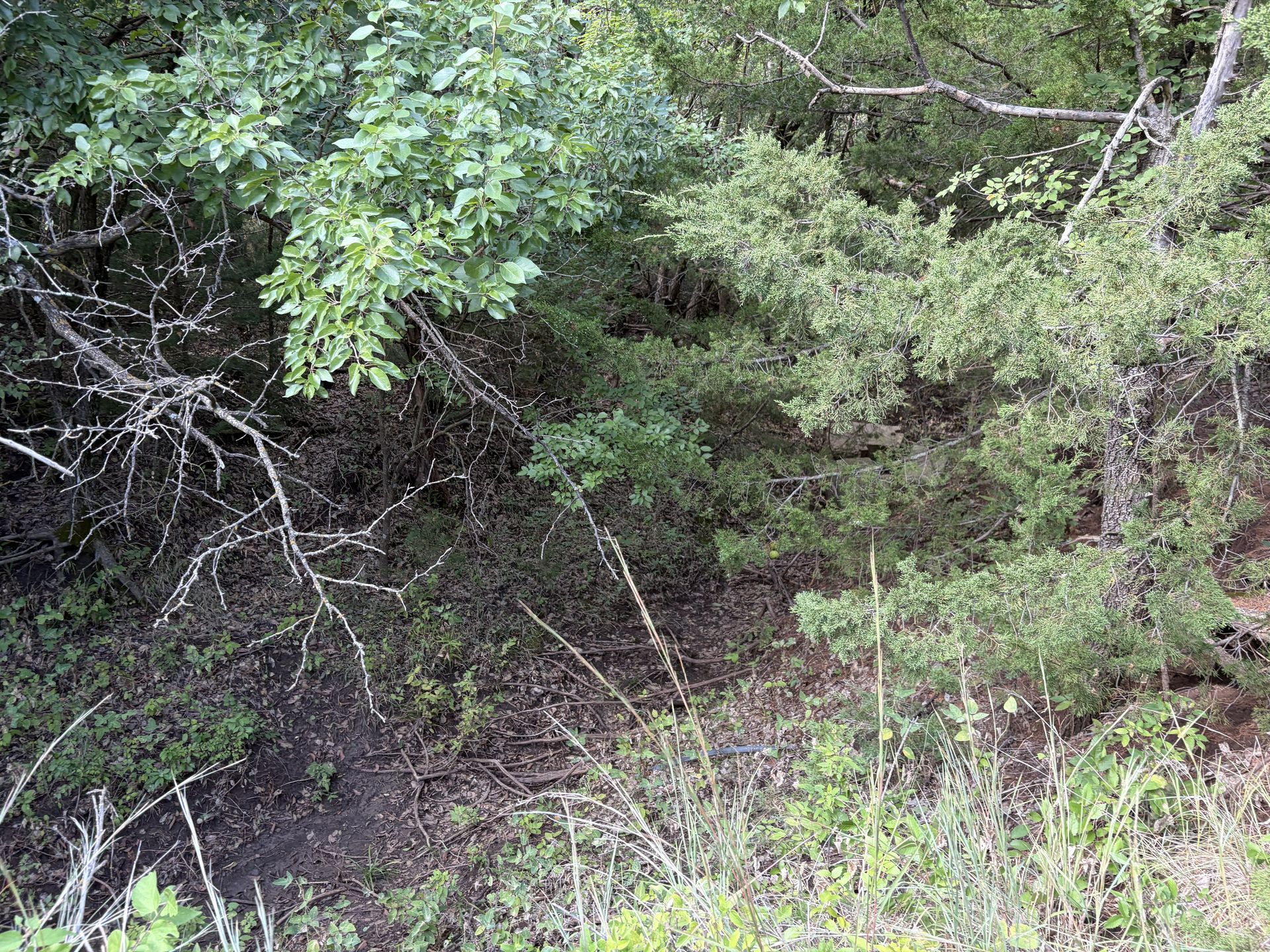 Landgren Auction Tract 2 Tract Photos image 10