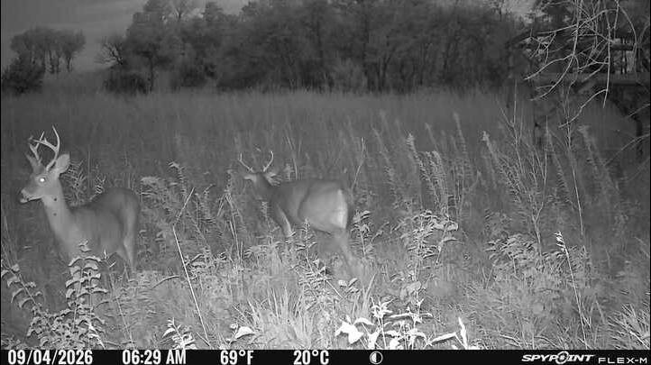 Laue Trust Tract 10 Wildlife Photos image 2
