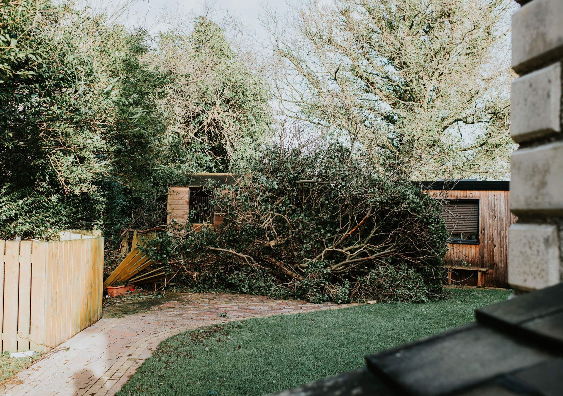 Emergency Tree Services Emergency Tree Services