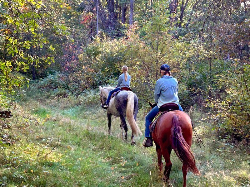 horsebackrding tours