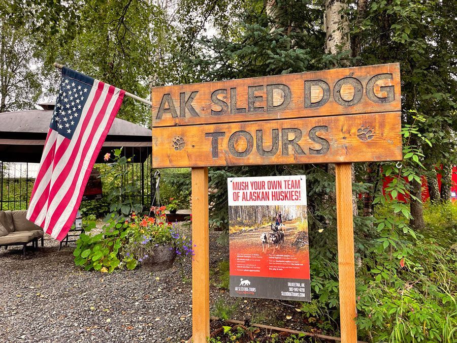 sled dog tours