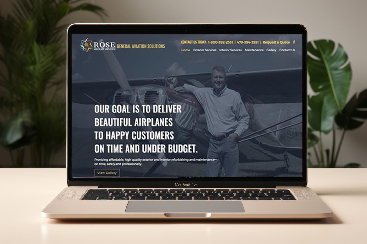 airplane mechanic website