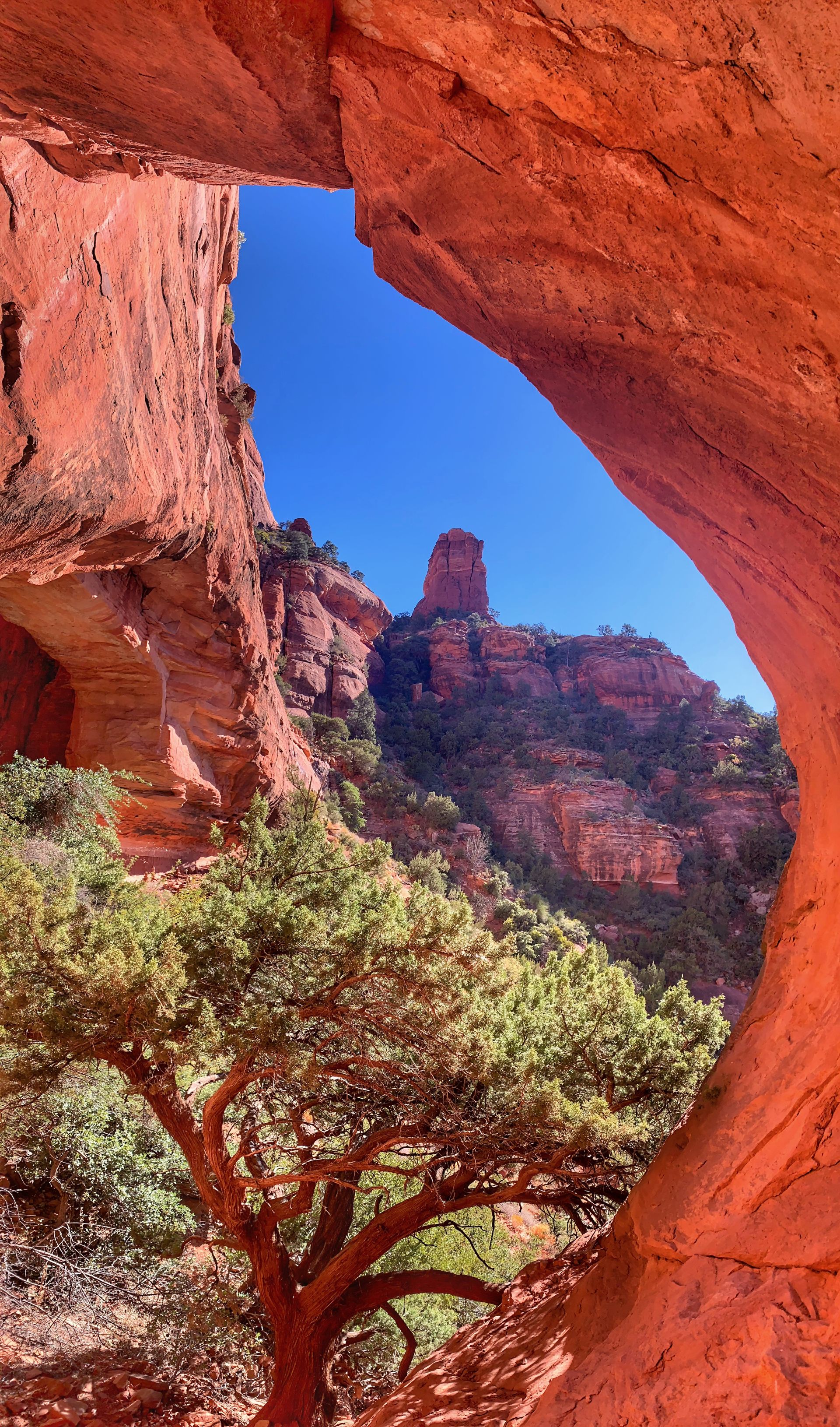 Sedona Views Bed and Breakfast - Sedona Arizona