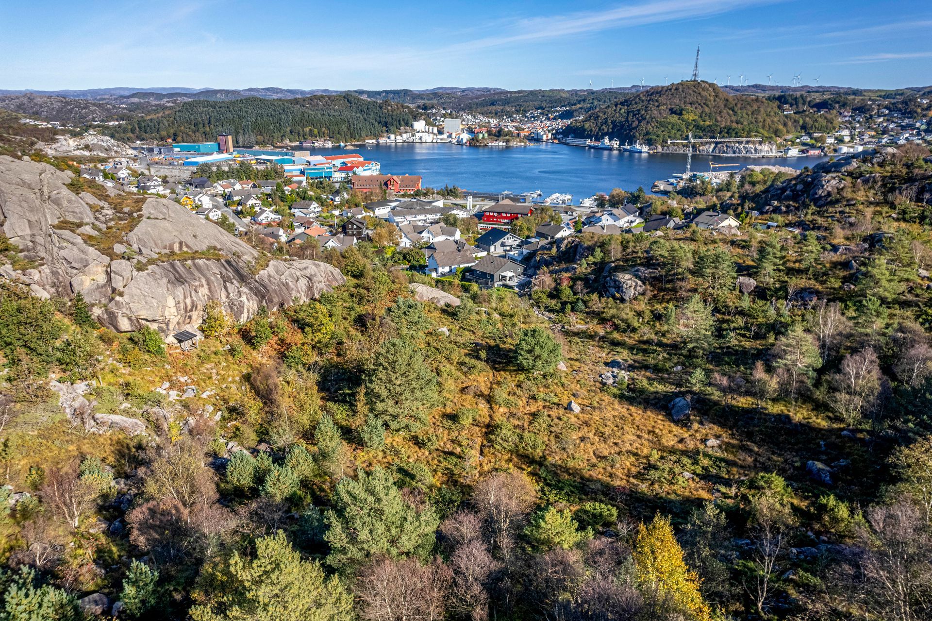 torvhusveien