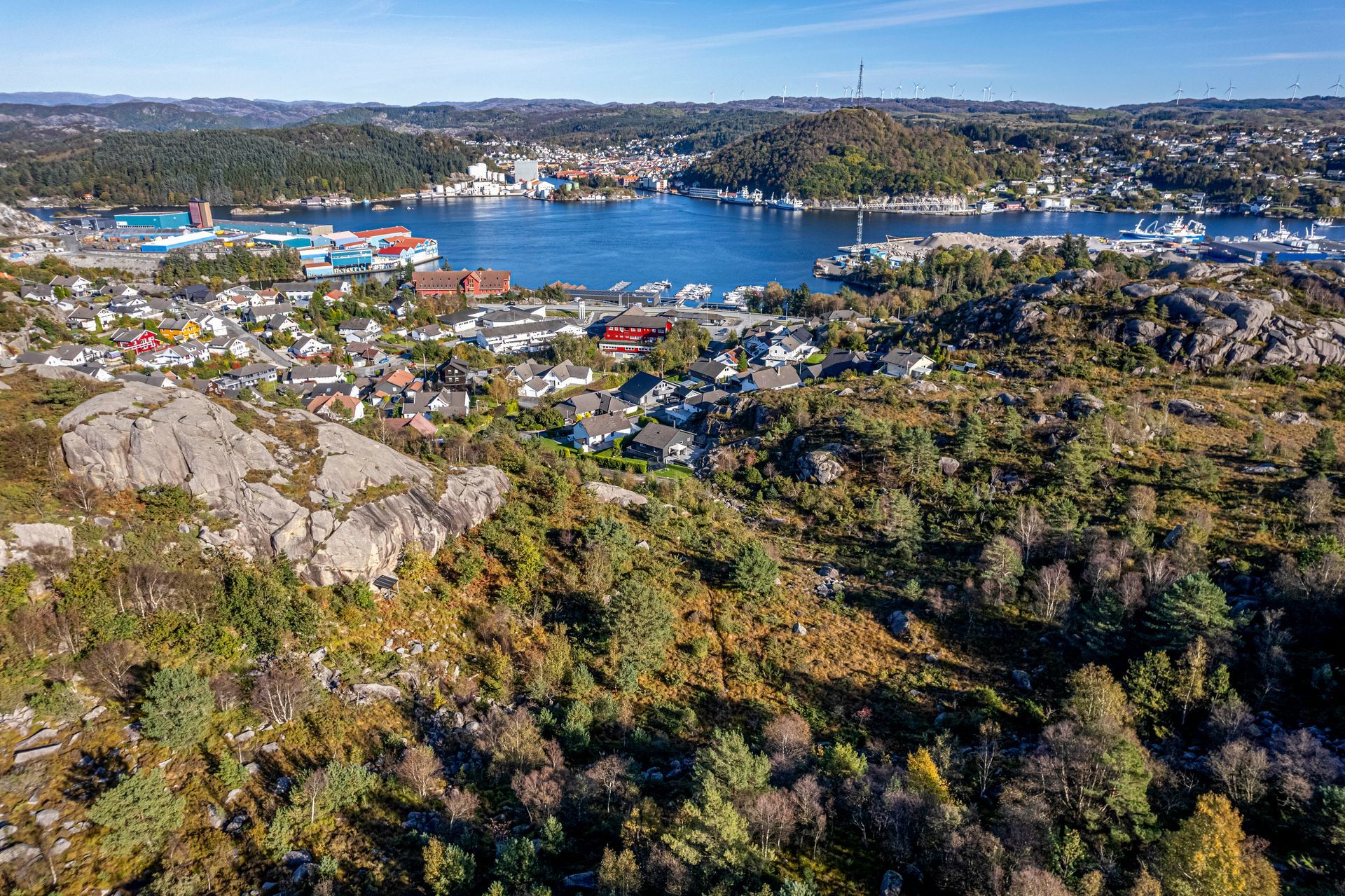 torvhusveien