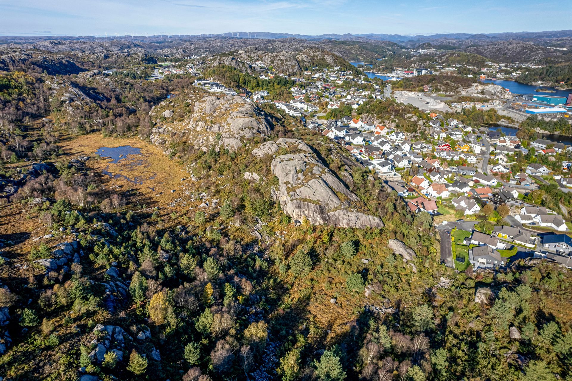 torvhusveien