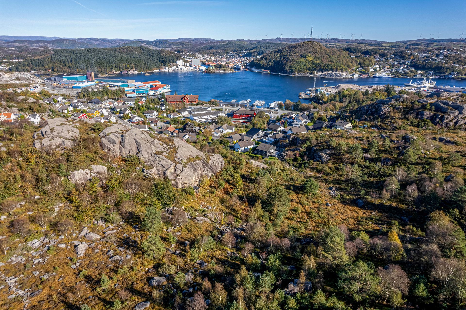 torvhusveien