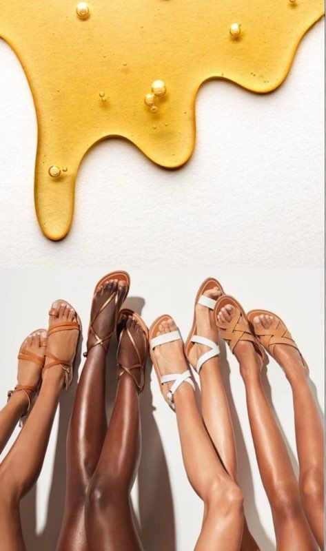 Sugarology