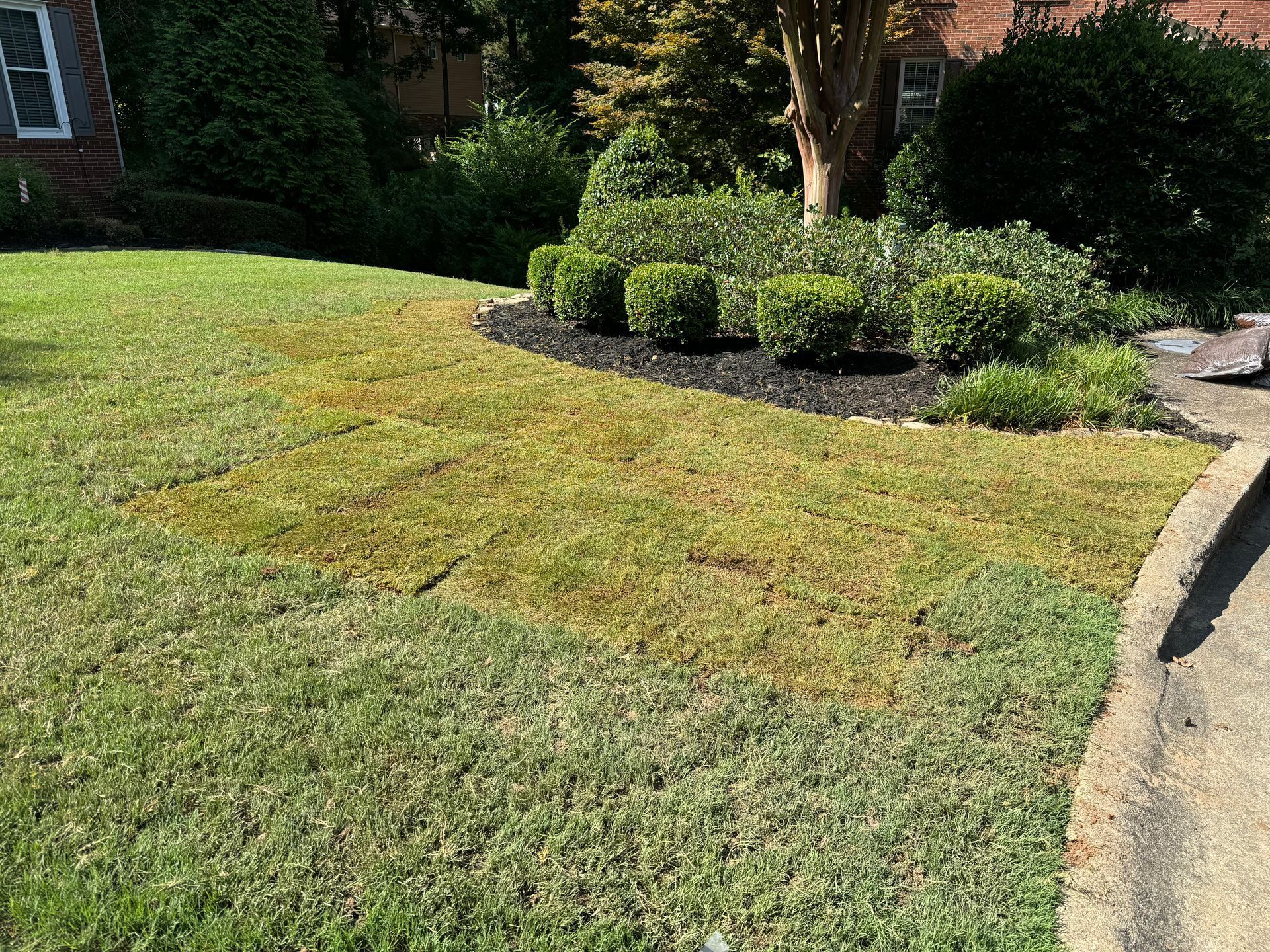Sunny suburban yard with patchy grass, shrubs, and a stone walkway by a brick house