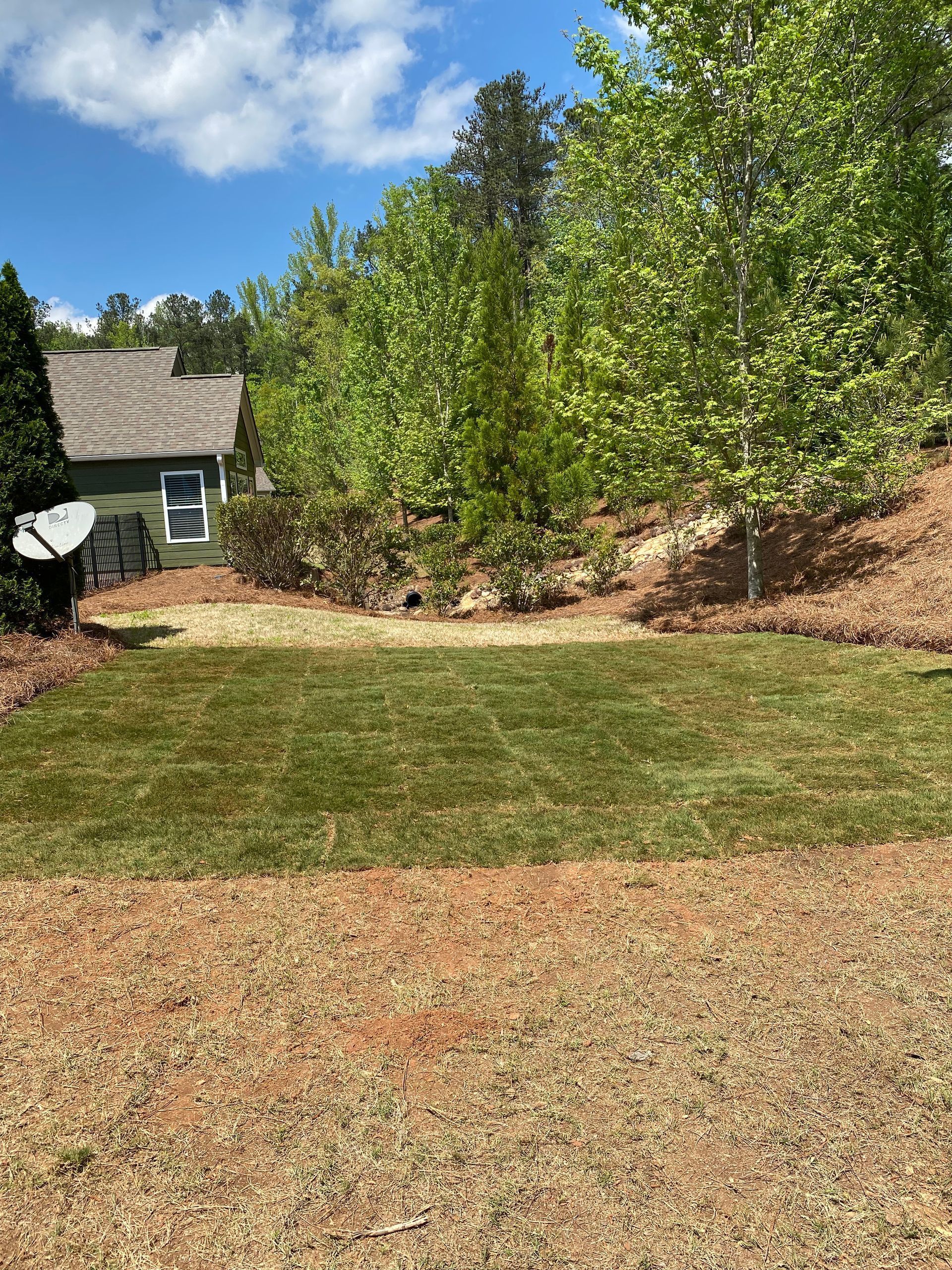 Grassy yard with small trees, sloped mulch bed, and a house under a blue sky