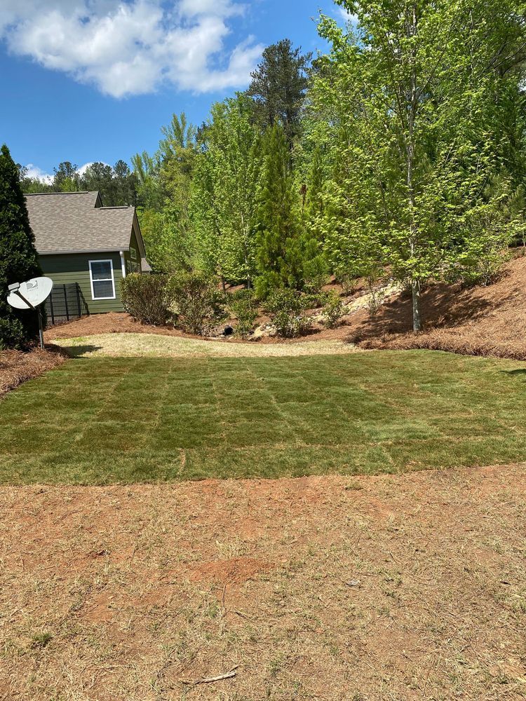 Backyard lawn bordered by trees, with a small house and satellite dish on the left under a blue sky