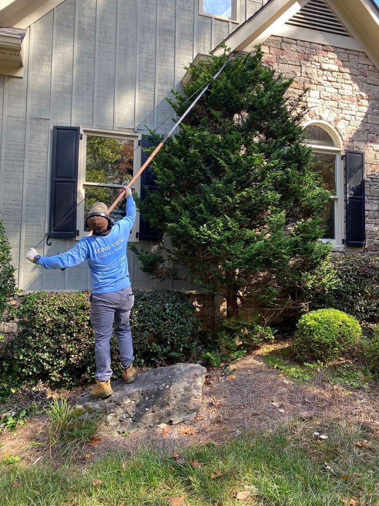 Person using a long pole to trim a tall shrub beside a house with stone and siding exterior.