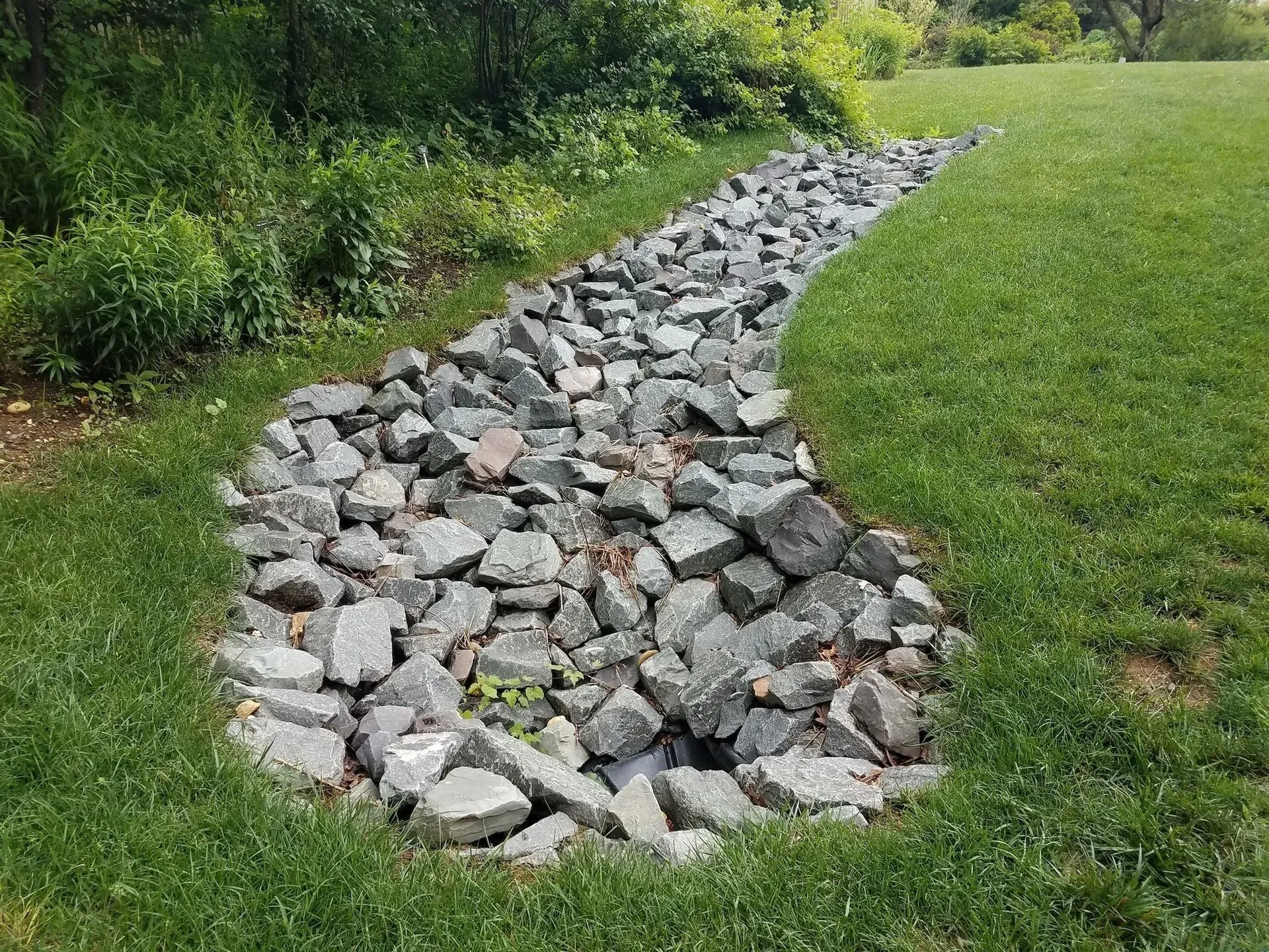Rock-lined drainage channel winding through a grassy lawn beside dense green shrubs.