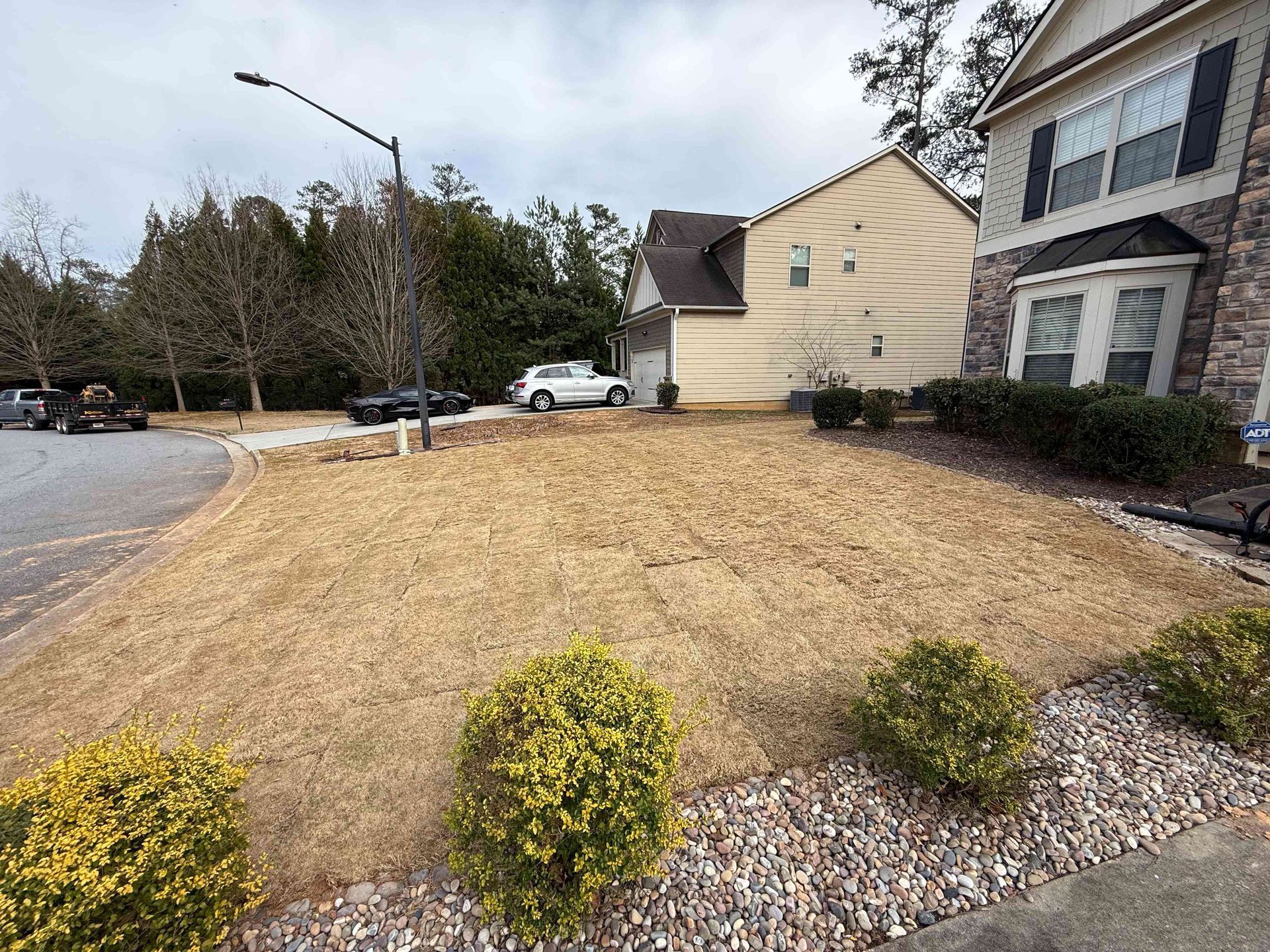 Front yard with dry brown grass, small shrubs, and a stone border beside a suburban house and street.