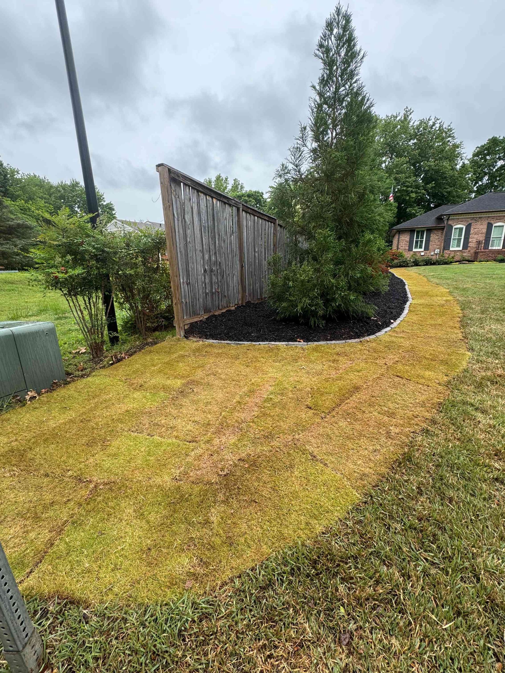 Curved yellow-green lawn beside a weathered fence, shrubs, and a house under cloudy skies.