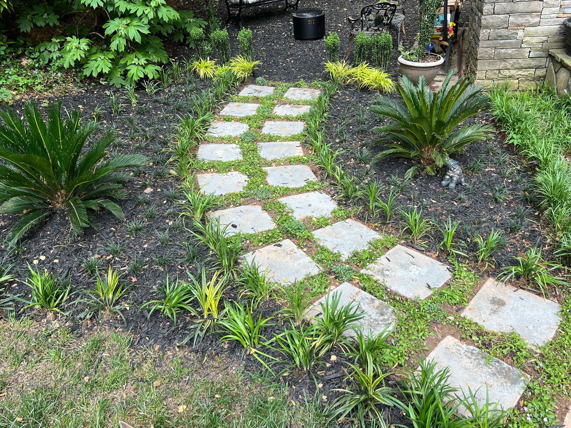 Curved stone path through a green garden bed with small plants and palm-like shrubs, beside a stone wall