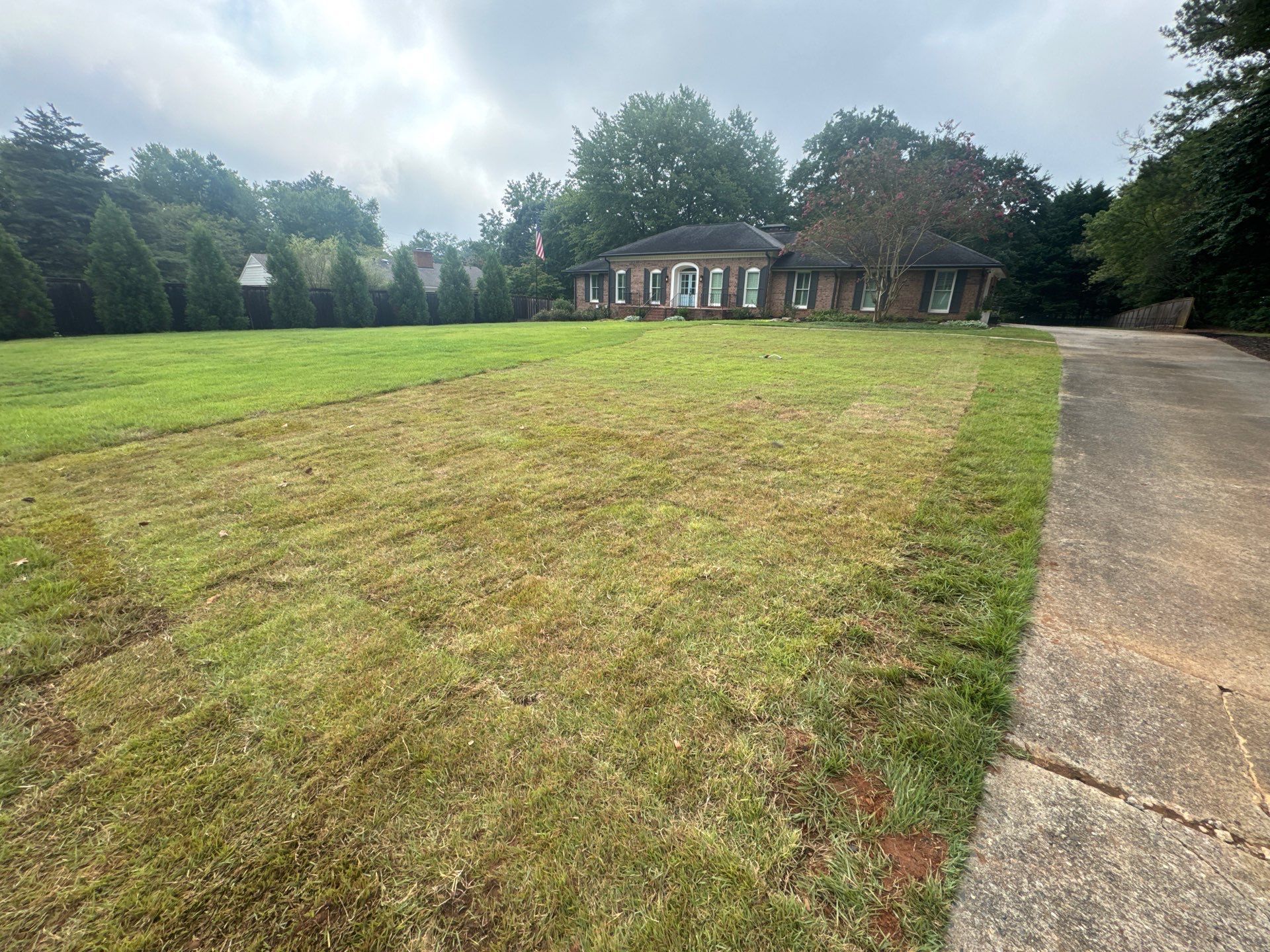 Grassy lawn leading to a small building, with a concrete path on the right and trees in the background