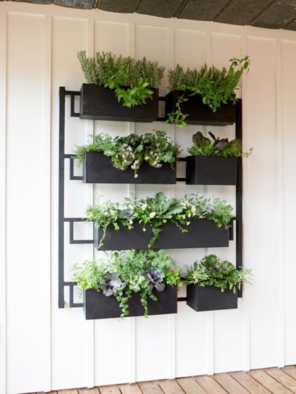 Hanging plant fixture
