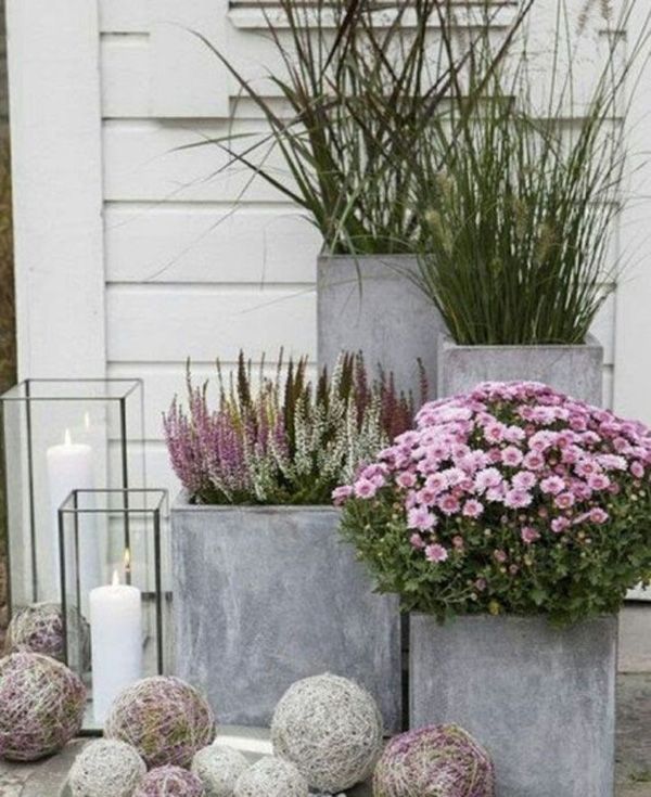 outdoor plants and lighting