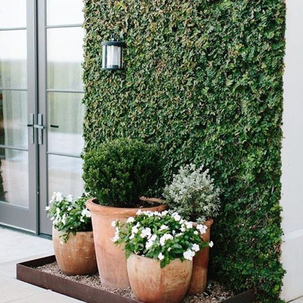 Graham's outdoor light hanging over four potted plants