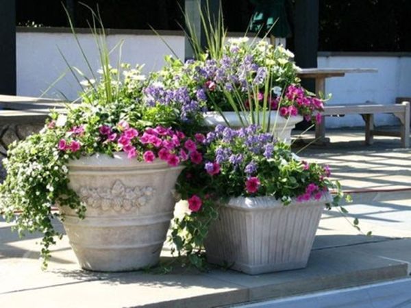 how to refresh your spring patio - outdoor plants