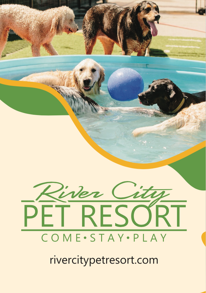 A poster for river city pet resort with dogs in a pool