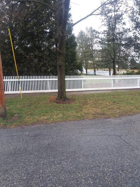 A white picket fence is along the side of a road.