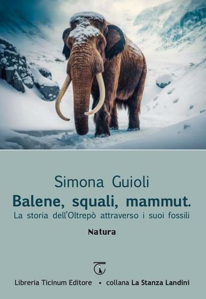 Balene squali mammut Libreria Ticinum Editore
