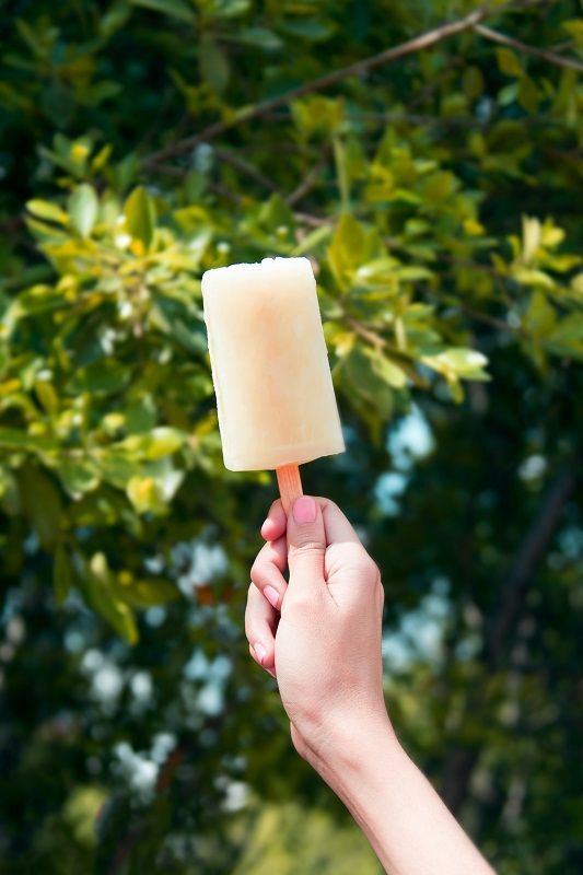 Hand holding a pale popsicle outdoors against blurred green foliage