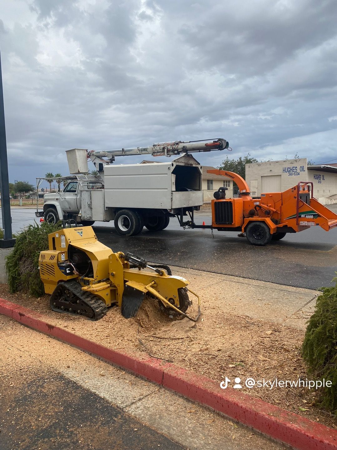 Whipple Tree Service l Tree Removal Service