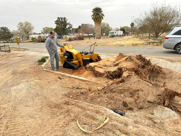 Tree Removal Logo