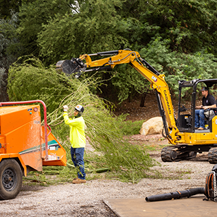 Commercial Tree Services
