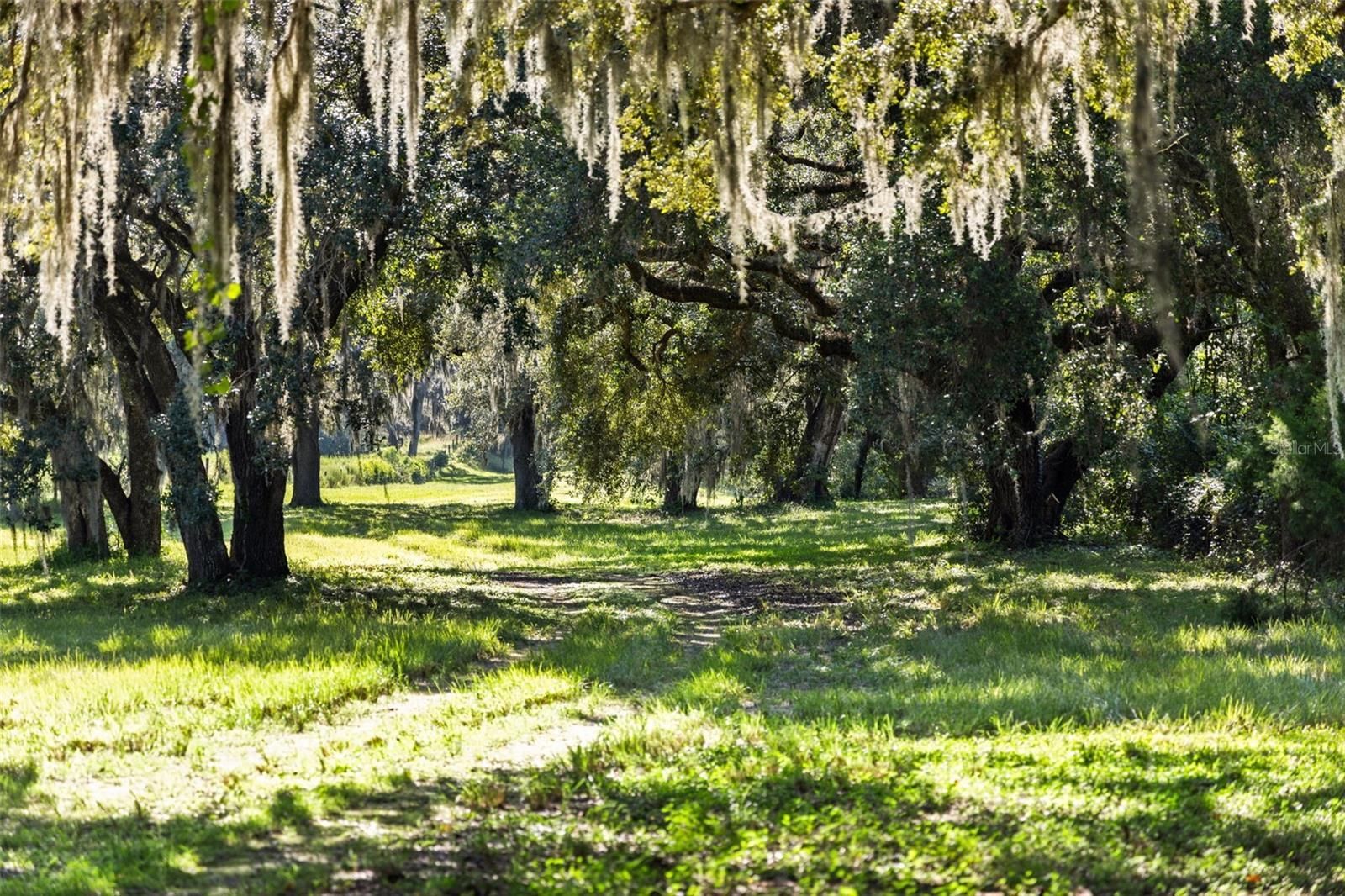 Tampa Bay Equestrian Real Estate, Equestrian Realtor, Tampa Horse Property Specialist, Odessa Horse 