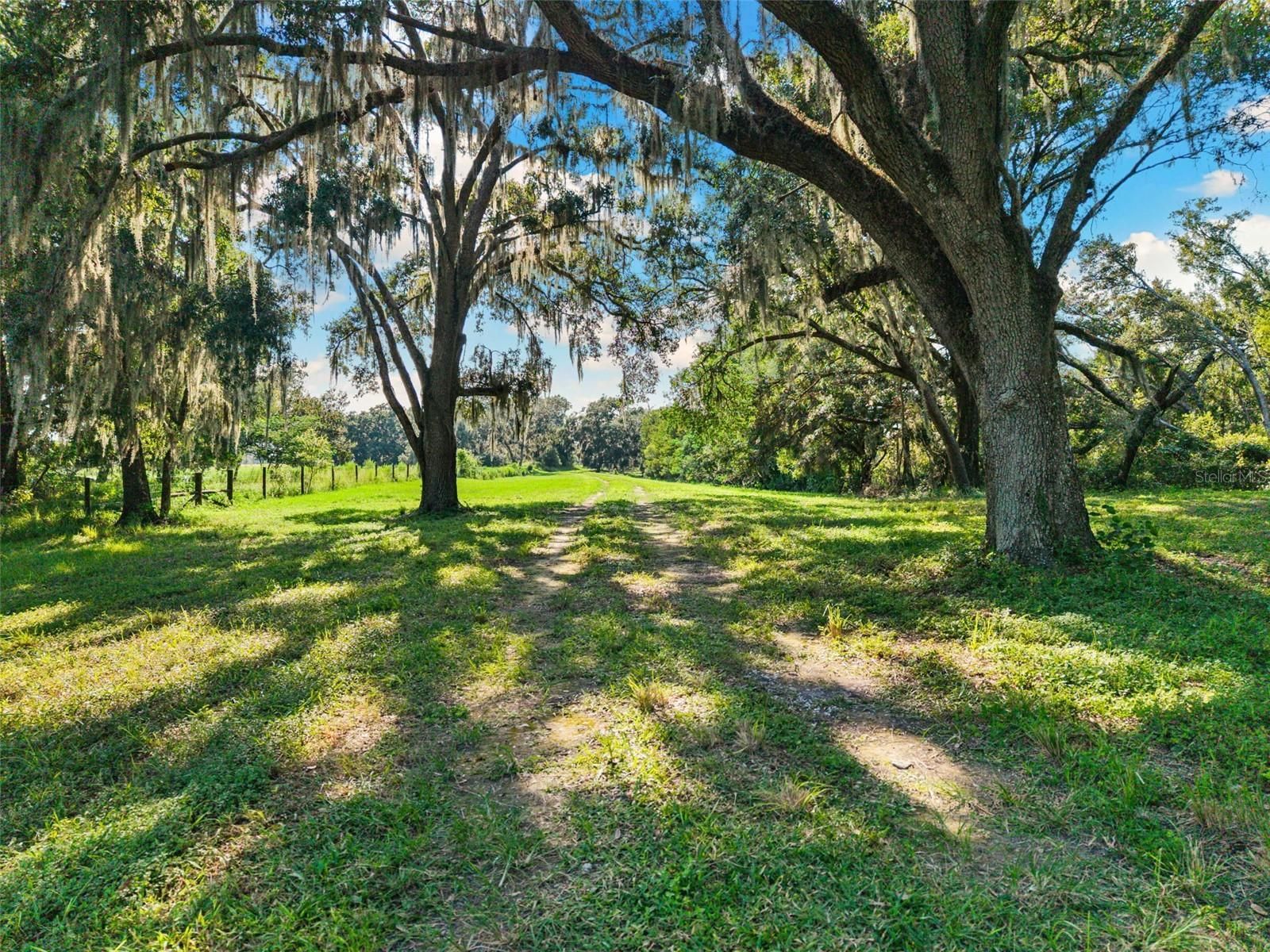 Tampa Bay Equestrian Real Estate, Equestrian Realtor, Tampa Horse Property Specialist, Odessa Horse