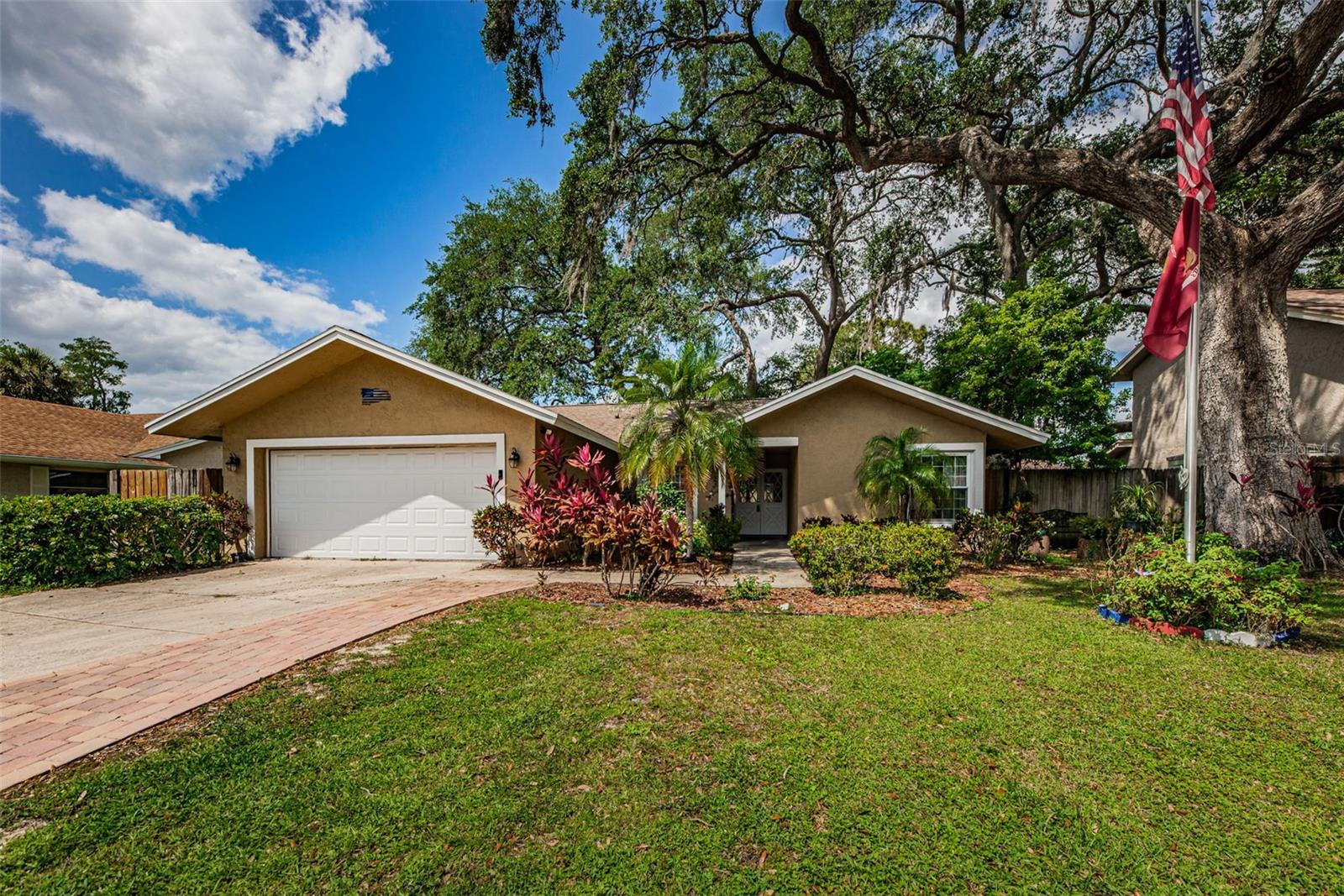 2801 Wendover Ter, Palm Harbor, FL 34685