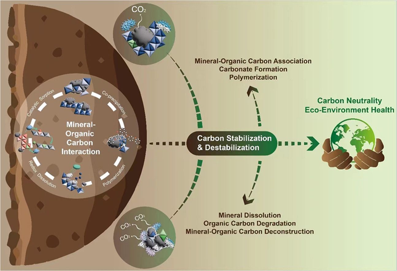 Mineral Associated soil Carbon