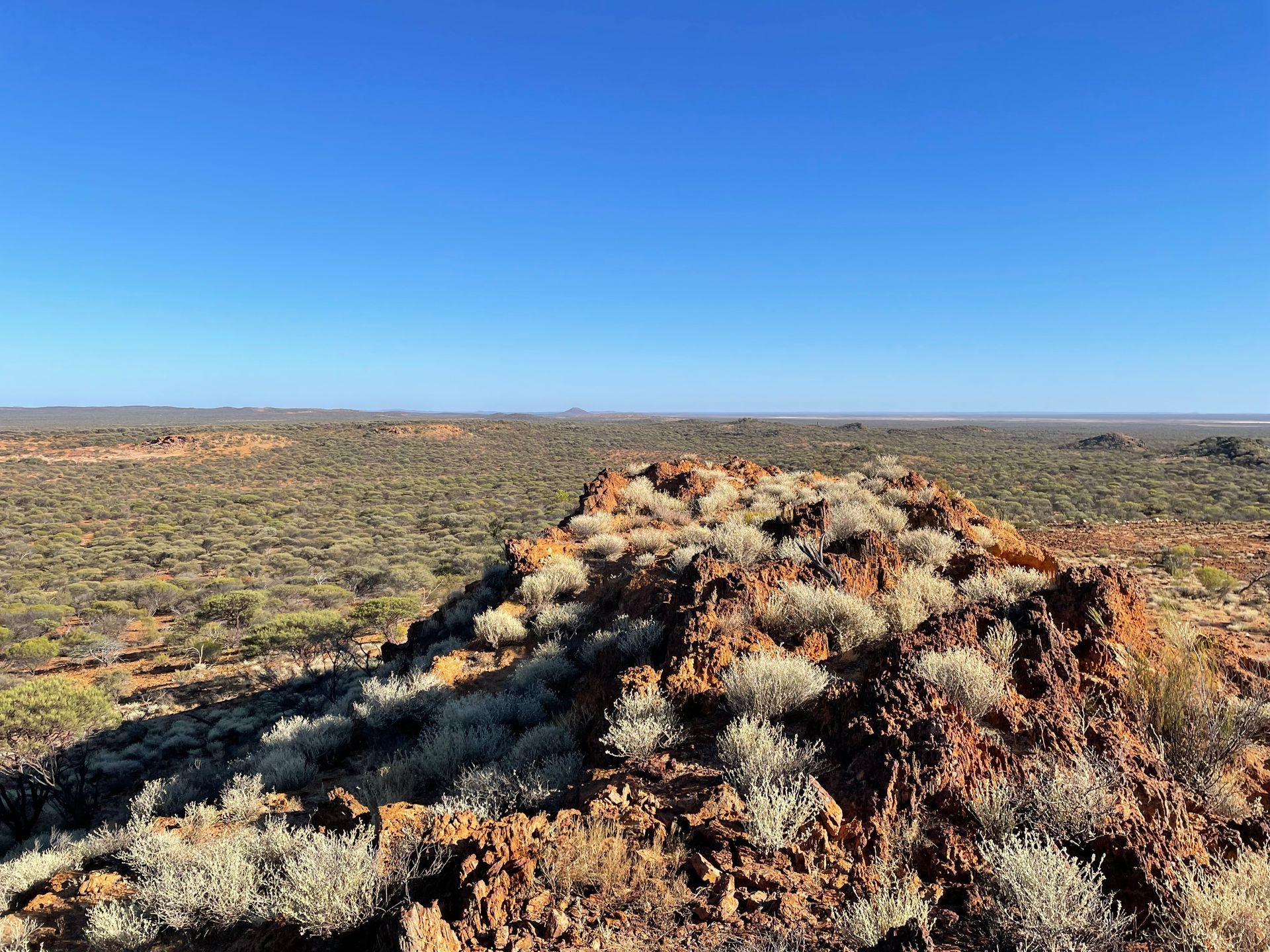 Outbcak Australia
