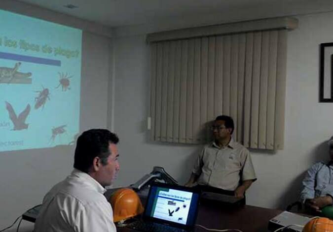 DEVASTA - EQUIPOS ESPECIALES