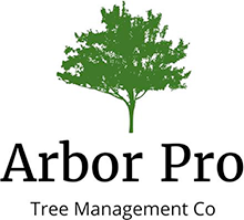 Green tree logo above “Arbor Pro” and “Tree Management Co” text