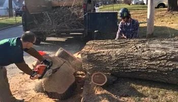 A man is cutting a tree trunk with a chainsaw.