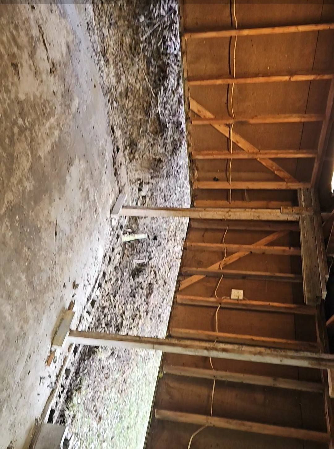 Interior of a dilapidated building with exposed beams and concrete floor. Muddy walls.