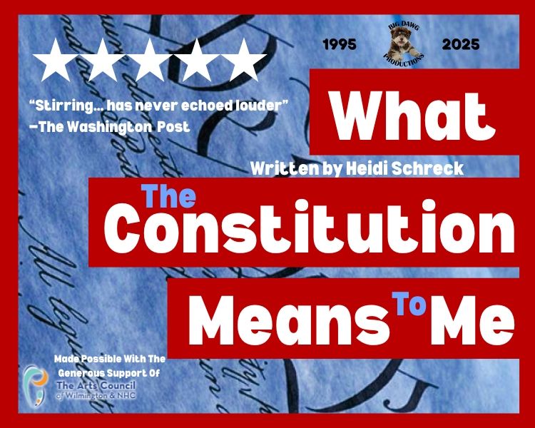 Book cover in red, blue, and white reading “The Constitution Means to Me” by Heidi Schreck.