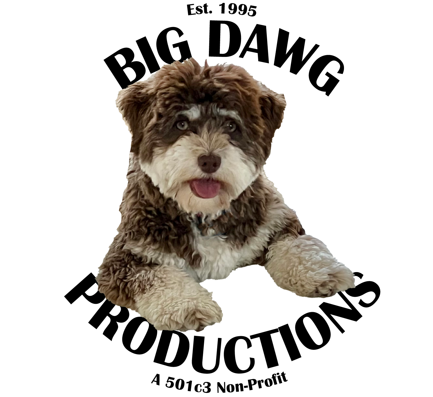Logo with a brown-and-white dog and the words “BIG DAWG PRODUCTIONS” and “Est. 1995”