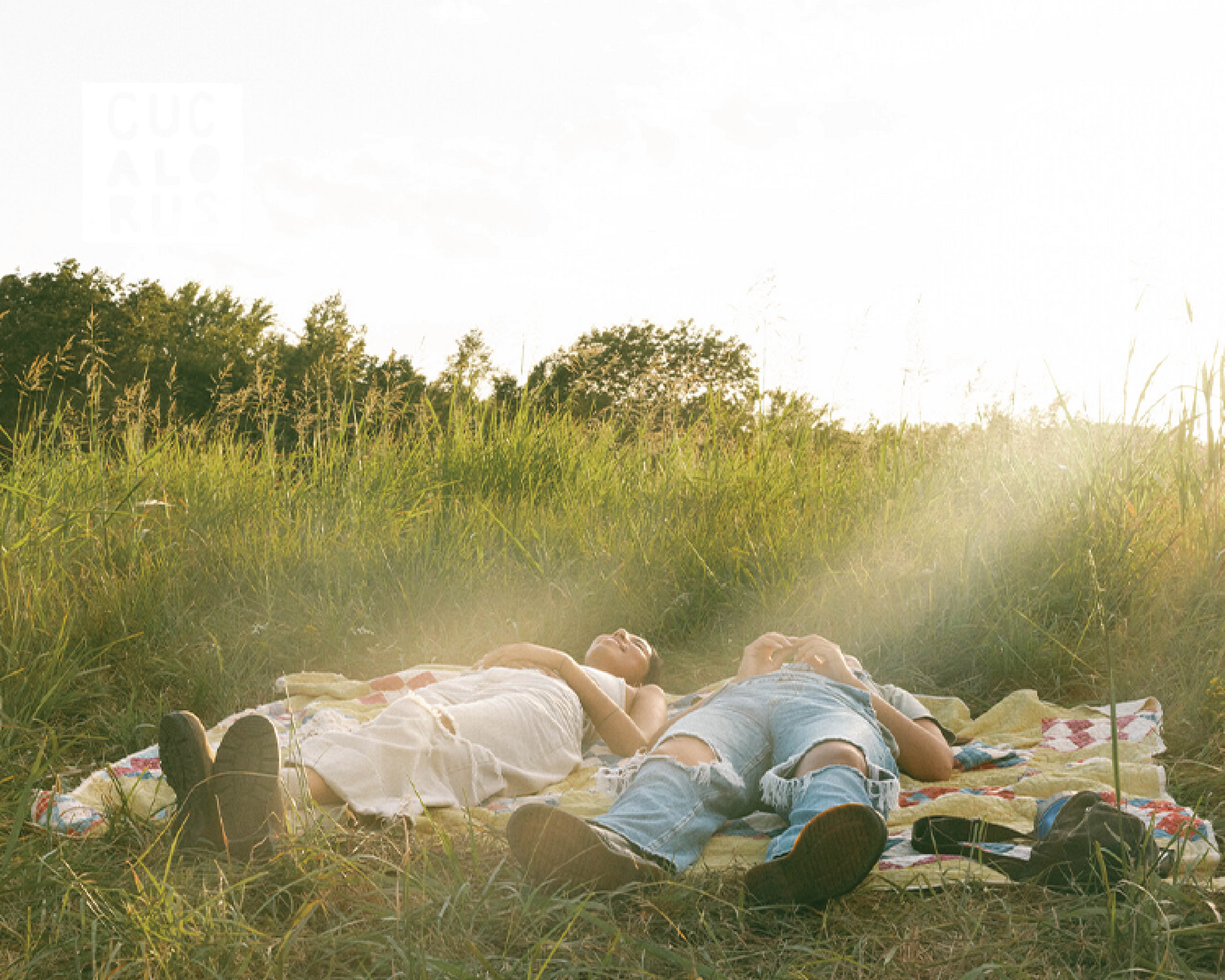 Two people lying on a blanket in a sunlit grassy field near tall wild plants