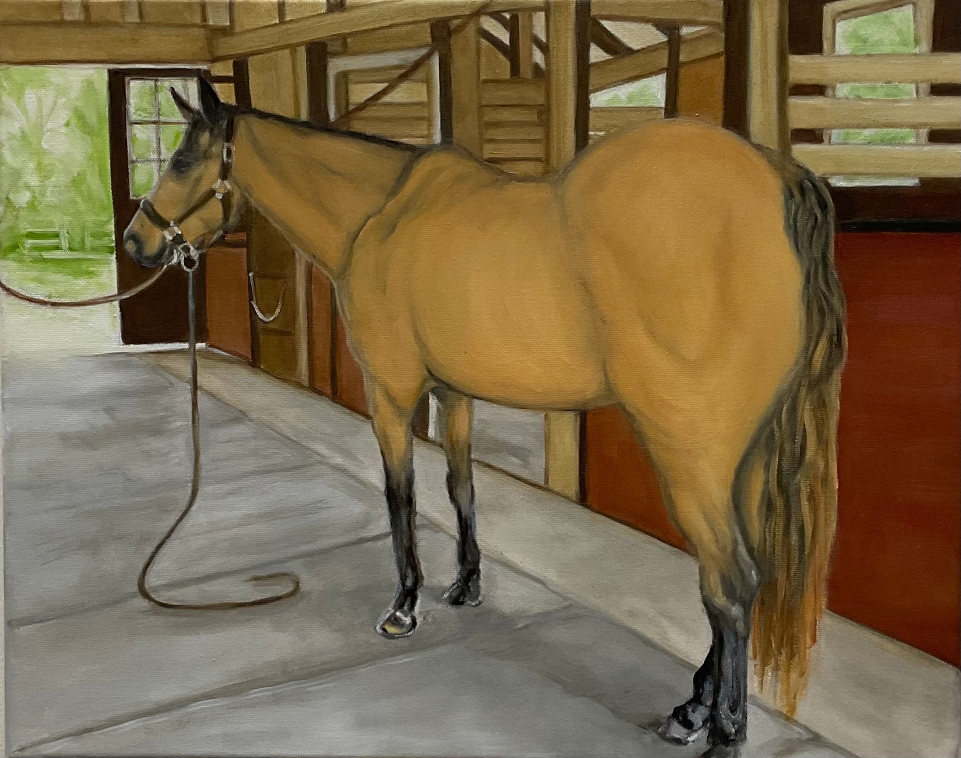 Horse standing in a stable aisle with a lead rope, seen from behind and side.